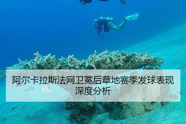 阿尔卡拉斯法网卫冕后草地赛季发球表现深度分析 | www.abg11.net